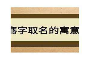 骞字取名的寓意和象征 睿字取名的寓意是什么