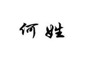 何姓龙宝宝取名(何姓)