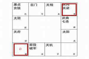 天同天梁在命宫 天同天梁在官禄宫