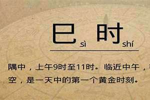 巳时是什么生肖属相(巳时是什么生肖)