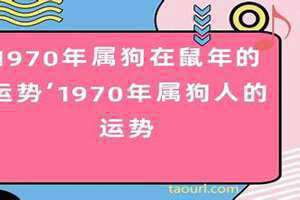 1970年属狗人2024年运势及运程 1970年属狗是金命还是土命