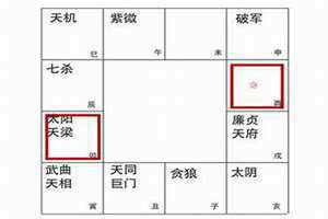 命宫天梁化禄(命宫天梁)