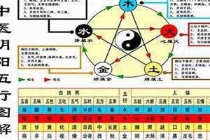 1984年属鼠是什么命 1983年属猪五行属什么