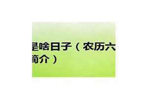 六月初六是什么日子是黄道吉日吗(六月初六是什么日子)