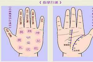 手相准吗科学吗知乎 生命线只有一半能活多少岁