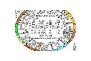 己亥日柱男命 己亥日柱三命通会论命