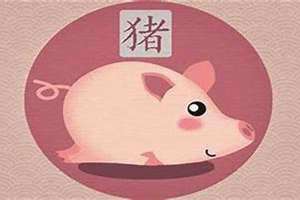 猪年是哪几年?多大年龄(猪年是哪几年)