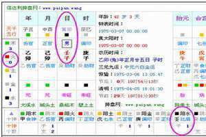 免费生辰八字五行查询卜易居(免费生辰八字五行查询)