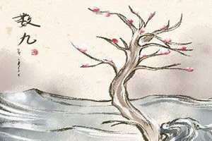冬九九是什么日子(冬九九)