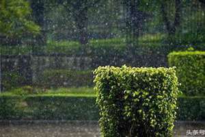 做梦梦到下大雨发大水是什么意思 做梦梦到下大雨是什么征兆女性