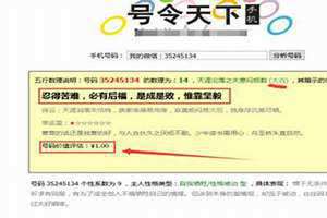 号令天下 汽车号码吉凶查询号令天下