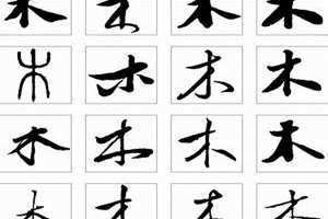 木字旁的所有字100个 木字旁的所有字有哪些?