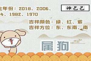 属狗性格特点及脾气 女(属狗性格)