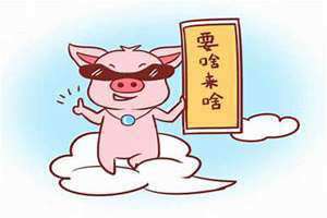 属猪和属猪的合不合婚姻(属猪和属鸡的合不合)