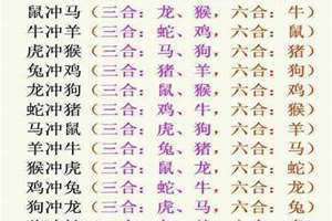 今日生肖相冲查询_今天什么冲什么生肖-福缘殿(今日生肖相冲查询)
