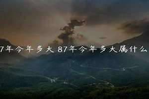 87年今年多大2024 87年今年多大虚岁多大