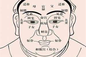 麻衣相术脸部图解大全 麻衣相术原版书