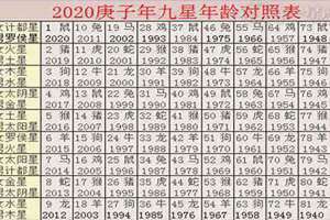 2020年什么命五行属什么命 2020年什么命金木水火土