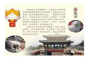 天同在财帛宫的女人(天同在财帛宫)
