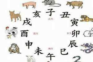 蛇冲猪是什么意思是对猪不好? 蛇冲猪是什么意思财生肖指那方位