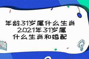 31岁属什么生肖 今年多大(31岁属什么)