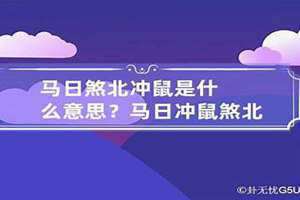 黄历马冲鼠是什么意思 马冲鼠是什么意思出马还是出鼠是什么动物