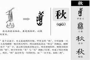 星五行属什么的字(秋五行属什么)