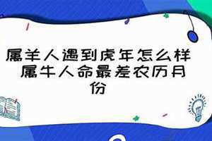 2021属牛人命最差农历月份(属牛人命最差农历月份)