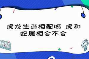 虎龙生肖相配吗婚姻如何 属龙人最佳配偶3个人