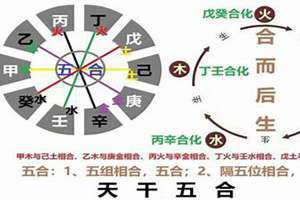 天干五合详解 天干五合合化的条件