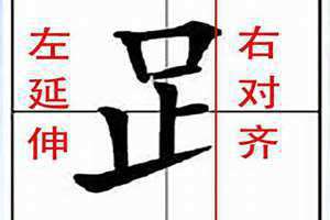 足字旁的字有哪些字一年级 子字旁的字有哪些