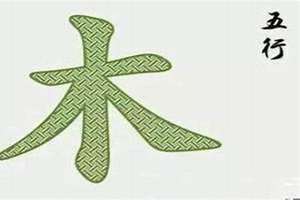 五行属木的字女孩用名有哪些字(五行属木的字女孩用)