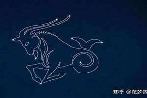 婚神摩羯