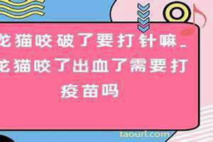 破了流血不止是什么病 出血破皮怎么办