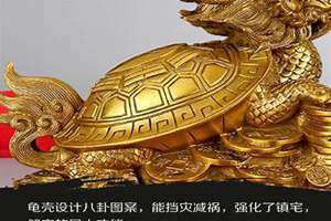八白左辅星怎么催旺(八白左辅星)