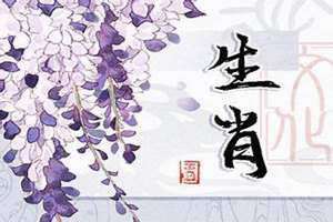 36岁属啥的今年2024 36岁属啥的 哪年出生
