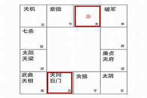 天同巨门在夫妻宫代表什么 天同巨门在财帛宫