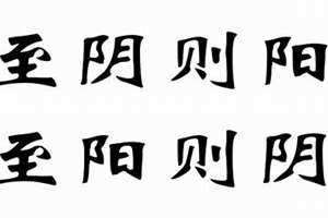 至阴至阳的人 至阴至阳之体