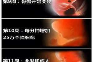 45周是几个月的时间(45周是几个月)