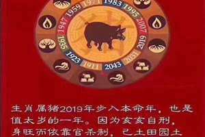 2019年犯太岁的生肖以及化解太岁的方法(2019年犯太岁的生肖)