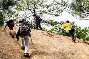 梦见自己爬山很陡峭结果爬上去了(梦见自己爬山)