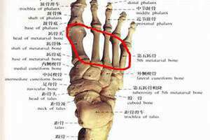 足大拇指疼是怎么回事(足大)