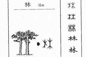 林字取名的寓意男孩名字 林字取名的寓意是什么意思