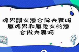 鸡男鼠女适合做夫妻吗婚姻如何(鸡男鼠女适合做夫妻吗)