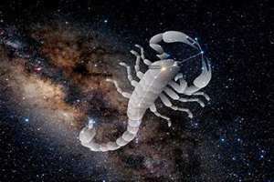 scorpius哈利波特(scorpius)