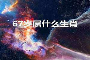 67岁属什么生肖 今年多大了 67年属什么生肖