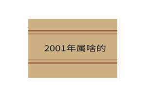 2001年属啥的生肖(2001年属啥)