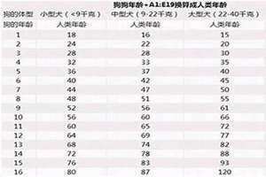 属狗的多大年龄2024年(属狗的多大)
