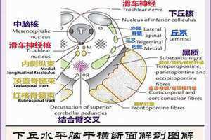 丘和河南洛阳人文言文翻译 丘和邱的区别