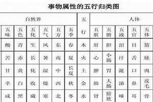 字五行属性是什么 字五行属性土